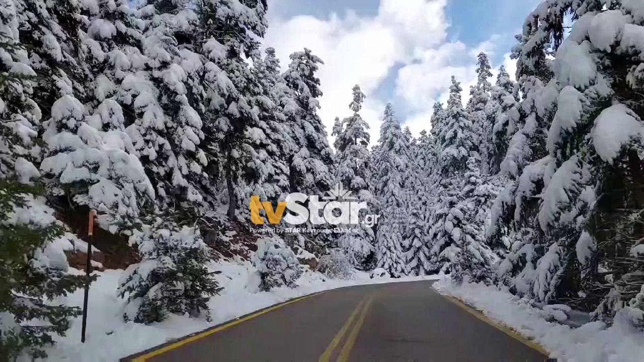 Γεμάτο από επισκέπτες ήταν το χιονοδρομικό κέντρο του Παρνασσού