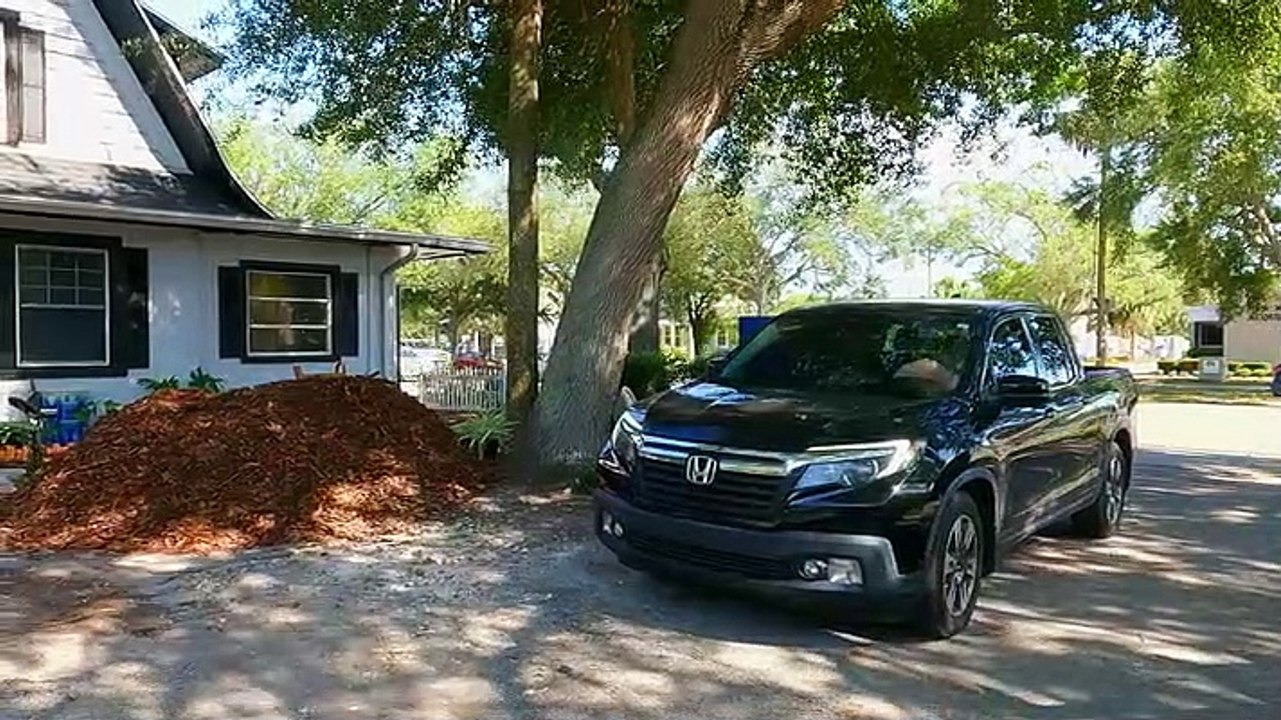 Tampa Baes - Se1 - Ep05 HD Watch