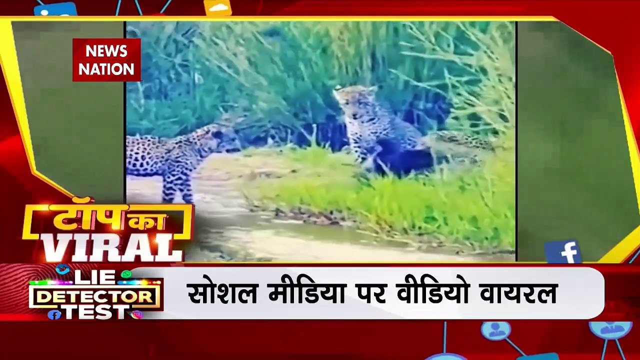 TOP KA VIRAL : सोशल मीडिया पर TOP KA VIRAL