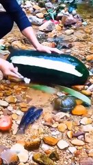 Top Home Care Devices to Simplify Your Life 🏡