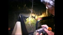 Hyenas Dominate a Leopard With a Kill - Latest Wildlife Sightings