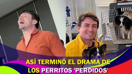 ¡Resuelto el misterio! La increíble historia de los perritos perdidos de João Paulo 🐶