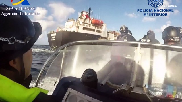 Рейд испанской полиции: кокаин обнаружили на борту судна для перевозки скота