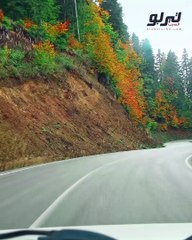 ورشة تيربو-هذه هي الاسباب لعدم اتزان السييارة على الطريق