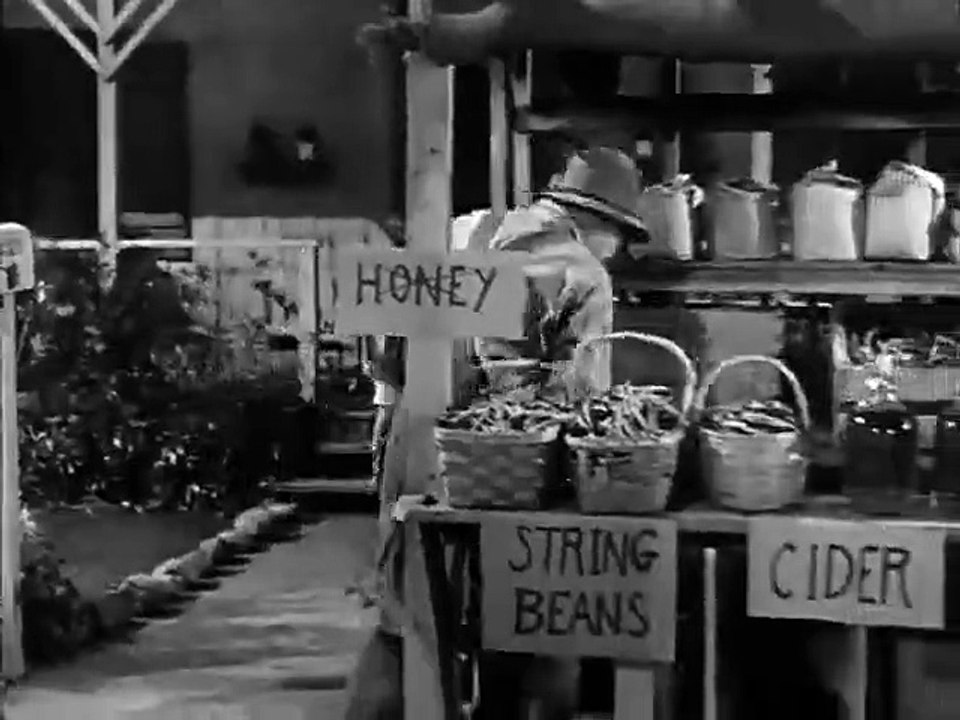 The Real McCoys - Se3 - Ep18 HD Watch