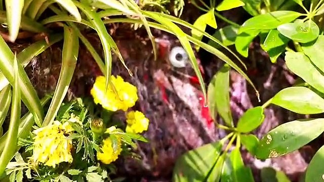 حدائق القاهرة تبدأ زراعة الحوائط بطريق صلاح سالم.. تجربة جديدة تنفذها هيئة النظافة تمهيدا لتعميمها على المحاور المرورية والكبارى.. الشرشابى: نقلة نوعية لوضع لمسات جمالية.. وحديقة العروبة مفتوحة مجانا للمواطنين