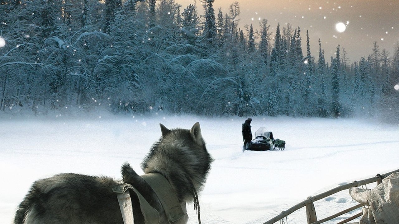 Happy People: A Year in the Taiga (2010) | Official Trailer, Full Movie Stream Preview