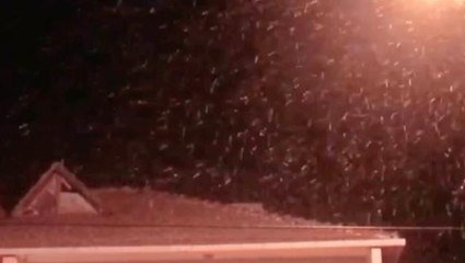 Dört gözle bekleniyordu! İstanbul'a yılın ilk karı düşmeye başladı