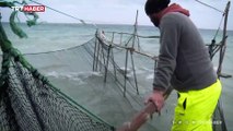 Geleneksel avlama yöntemi: Dalyan Balıkçılığı