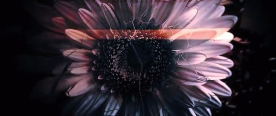 Close to Me - Se1 - Ep02 Unravelling HD Watch