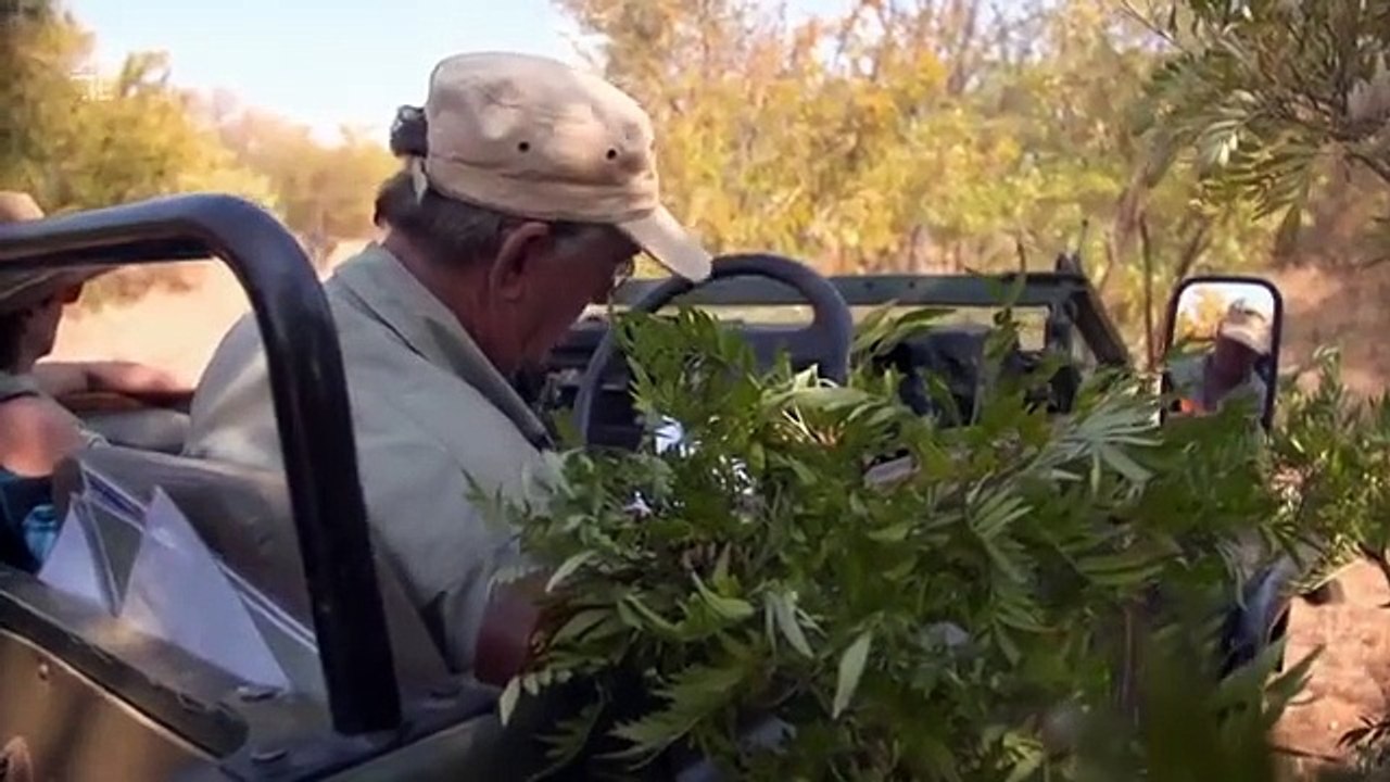 Work on the Wild Side - Se1 - Ep15 HD Watch