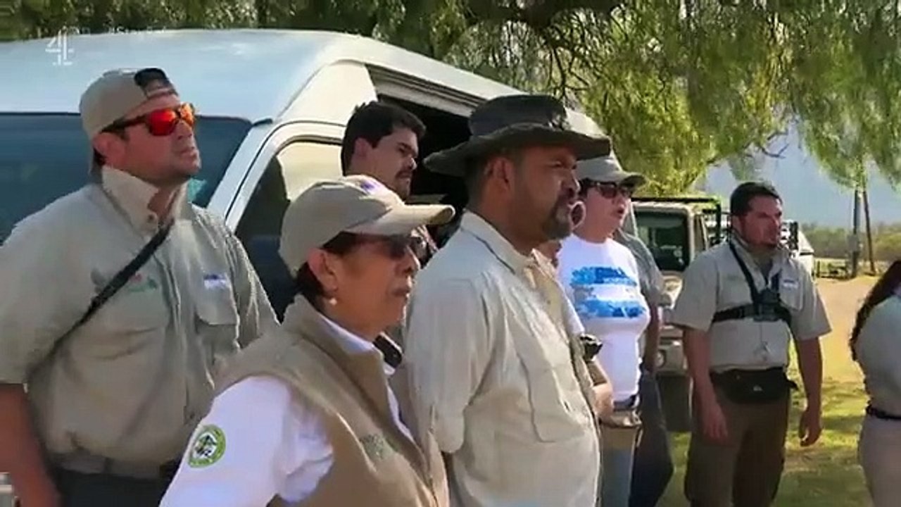 Work on the Wild Side - Se1 - Ep18 HD Watch