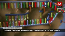Investigaciones científicas revelan evolución en el ADN humano