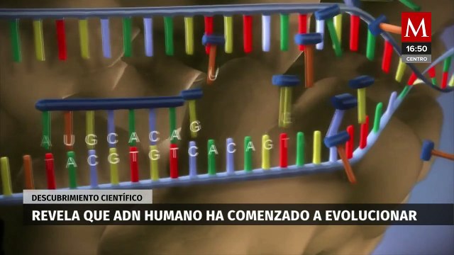 Investigaciones científicas revelan evolución en el ADN humano