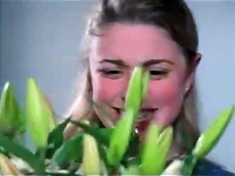 Ready or Not - Se5 - Ep12 HD Watch