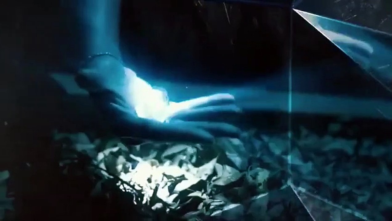 Jongo - Se1 - Ep11 HD Watch