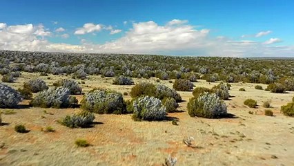 Documental Roswell Veredicto Final 6 Verdad Extraterrestre