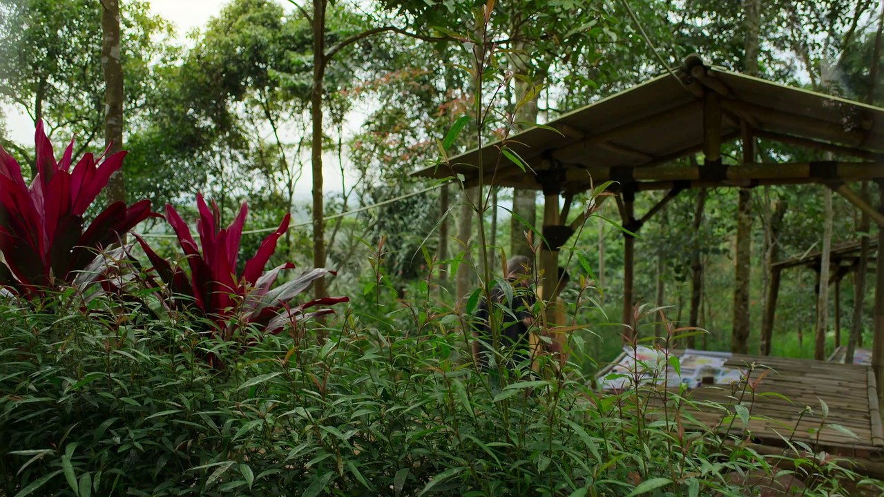 Los apocalipsis del pasado 1/8 - Érase una vez un diluvio