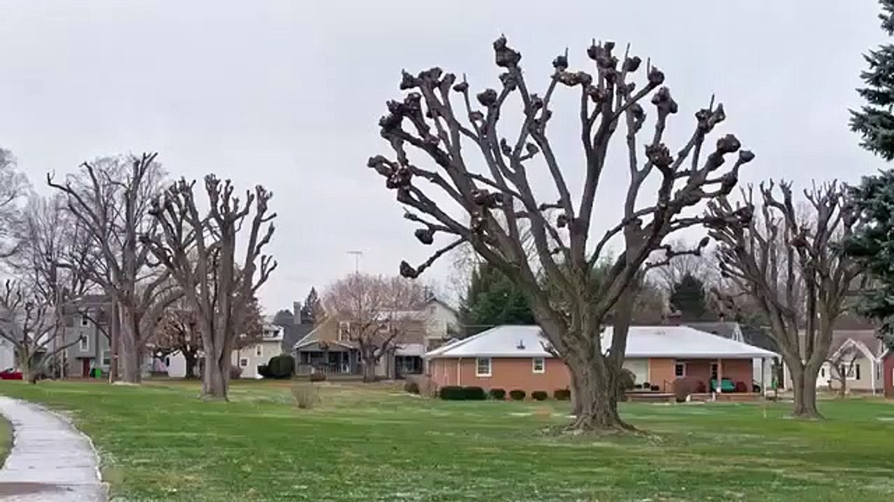 Fear Thy Neighbor - Se5 - Ep03 HD Watch