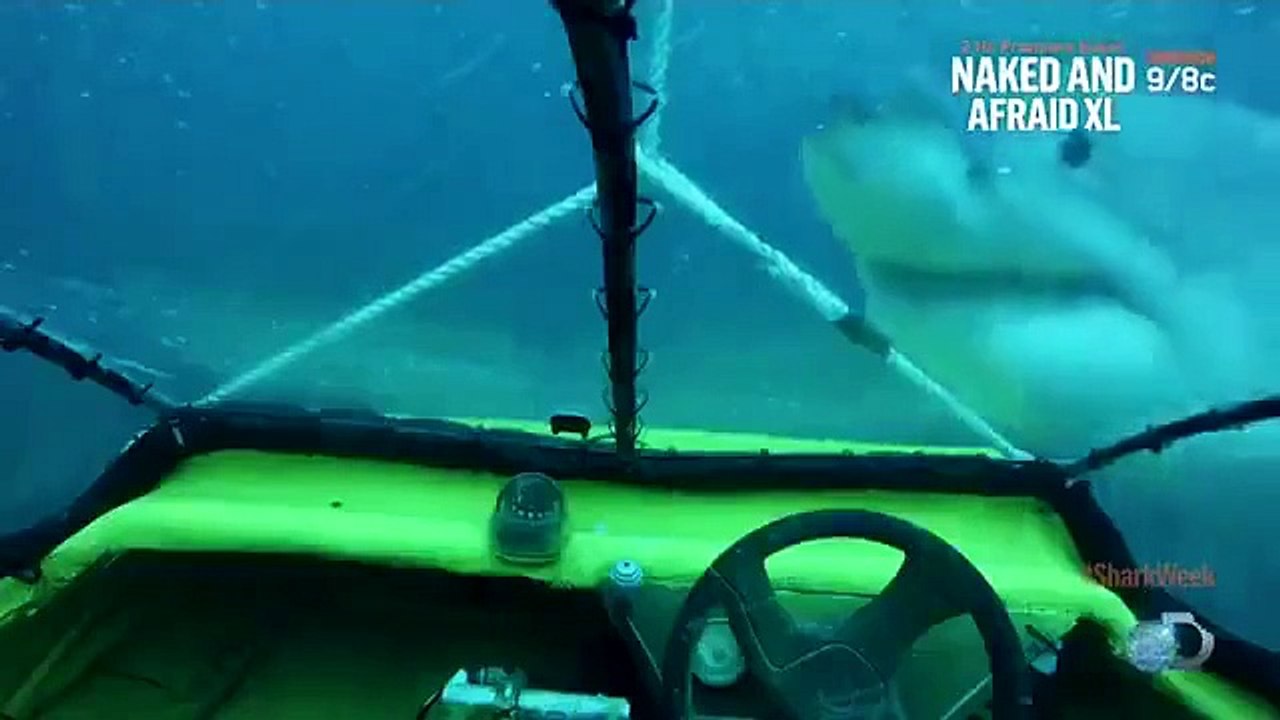 Shark Week - Se28 - Ep15 HD Watch