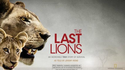 The Last Lions (2011) | Official Trailer, Full Movie Stream Preview