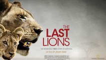 The Last Lions (2011) | Official Trailer, Full Movie Stream Preview