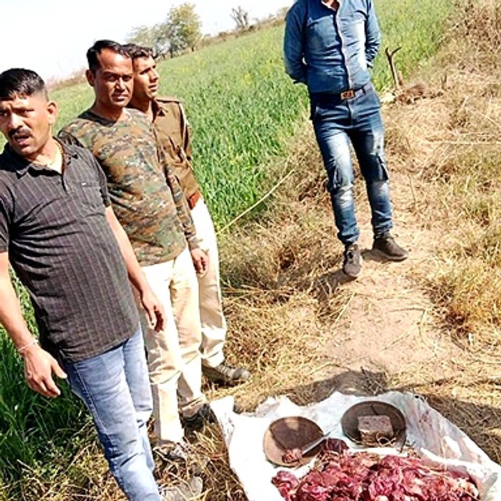 सांभर को काटते महिला शिकारी को दबोचा