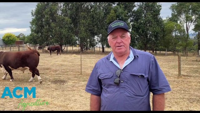 Stud principal Jeff Smith, Andtravern Herefords | Stock & Land | 29/01/23