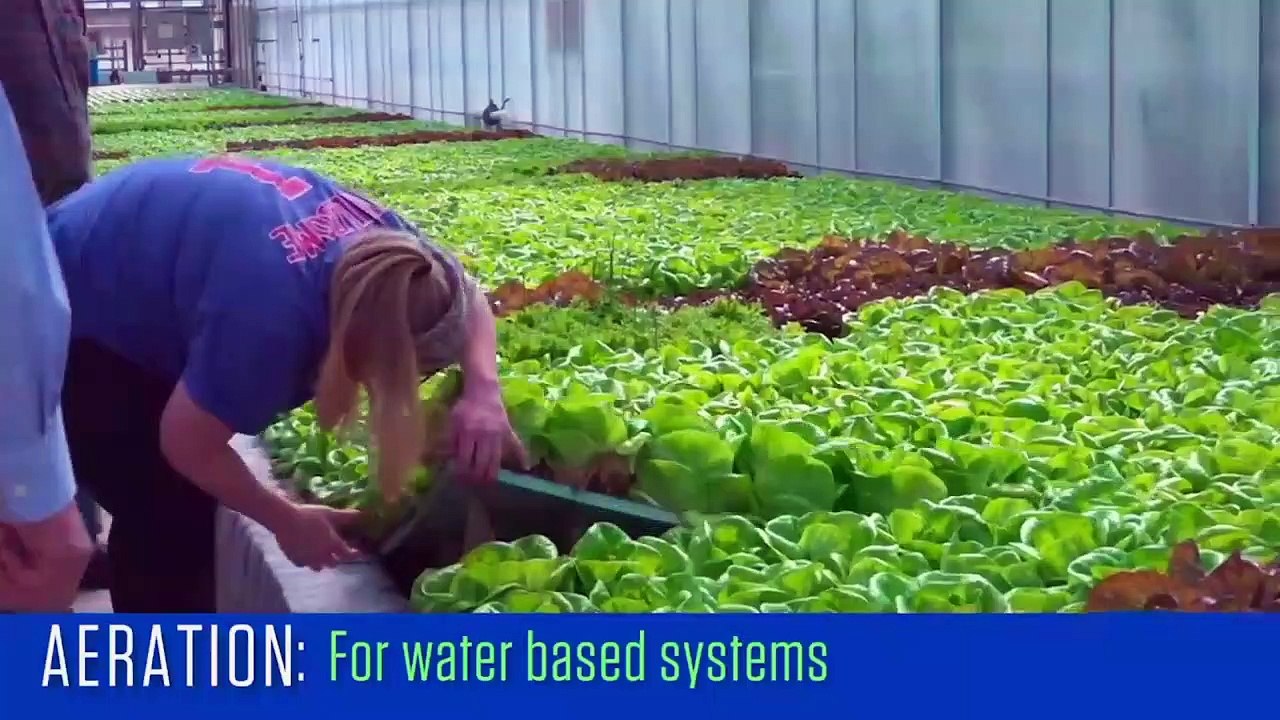 How to select a hydroponic system for the greatest financial return
