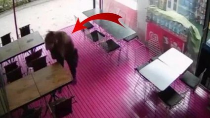 İşe alınmayan kadın, kafedeki tüm masalara tükürdü