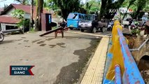 Banjir di Kota Manado Rusak Infrastruktur dan Rumah Warga
