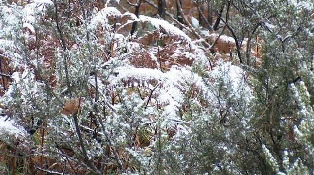 İstanbul’a yılın ilk karı yağdı
