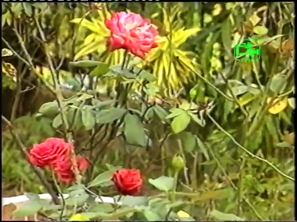 Premee mehe balannako by M S Fernando Excerpts from Torana Archives