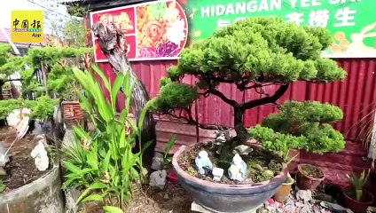 拱桥新村的老厝 中华文化 点缀     如意屋