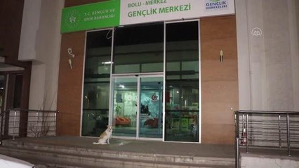 Gençlik merkezince sahiplenilen "Şila", çocukların ve gençlerin dostu oldu