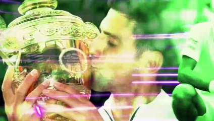 Novak Djokovic wins record-equalling 22nd grand slam
