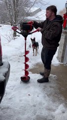 Dog Gets Excited To Go Ice Fishing