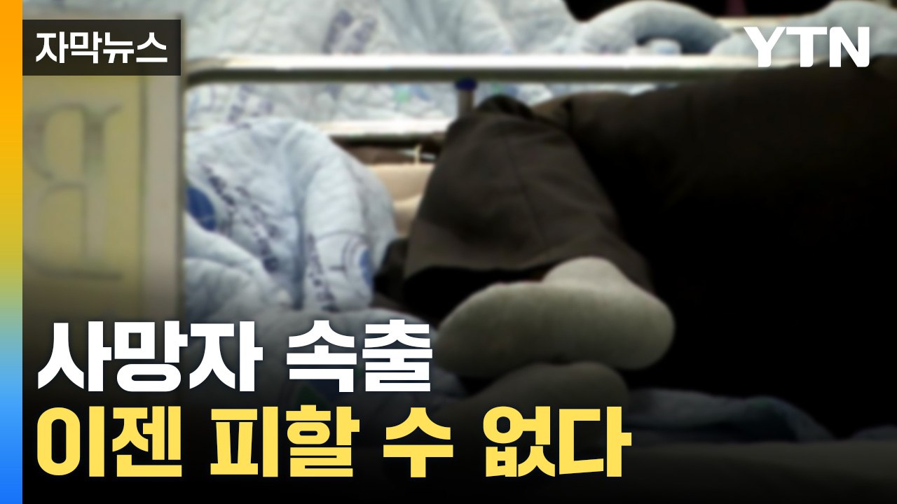 [자막뉴스] "사망자 기하급수적 증가"...매년 피할 수 없는 운명 / YTN