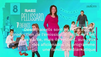 Download Video: Familles nombreuses : Amandine Pellissard a gagné une somme colossale depuis sa reconversion dans le X