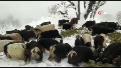 Batman'da 80 köy yolu kar yağışı nedeniyle ulaşıma kapandı