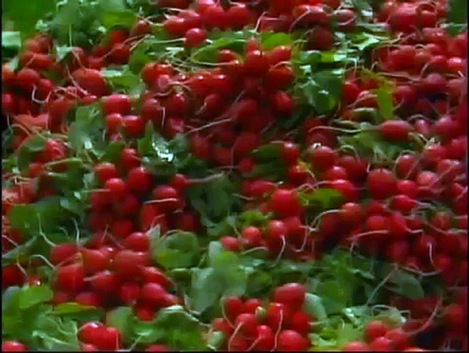 Fraggle Rock - Se3 - Ep13 - Scared Silly HD Watch