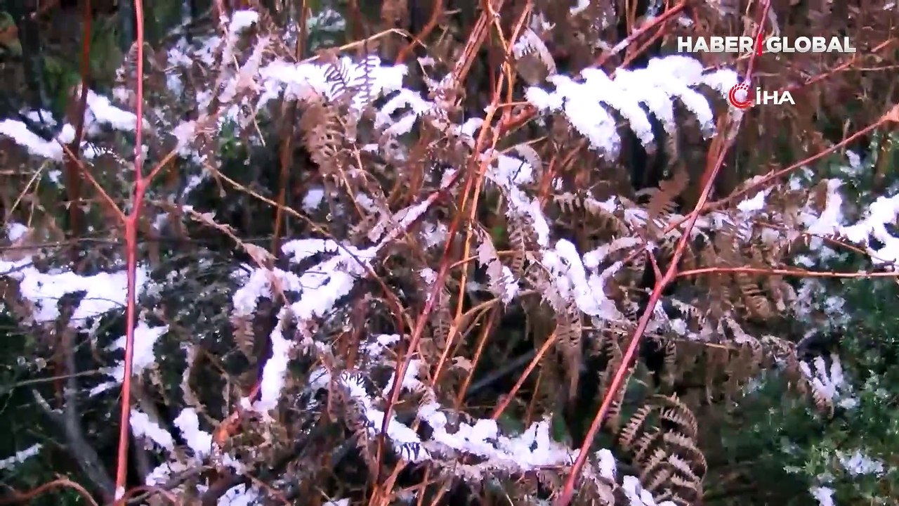 İstanbul'a kar yağdı: Aydos Tepesi beyaza bürünmeye başladı!