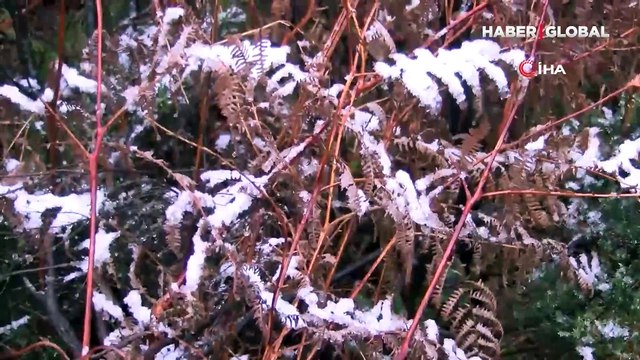 İstanbul'a kar yağdı: Aydos Tepesi beyaza bürünmeye başladı!