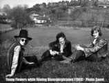 Young Flowers - Blomsterpistolen (Denmark 1968) blues-based psychedelic rock