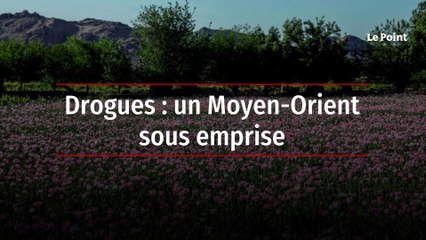 Drogues : un Moyen-Orient sous emprise