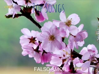 FALSO AMOR. Pop Songs. TUTZE MUSICA.