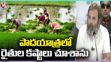 Rahul Gandhi Speaks To Media About Bharat Jodo Yatra Ends | V6 News