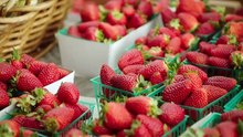 Alice Waters Teaches the Art of Home Cooking S29 E02 The Farmer's Market - Learning From the Source