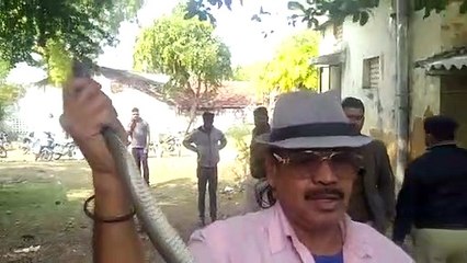 Snake entered the police residence of the battalion premises