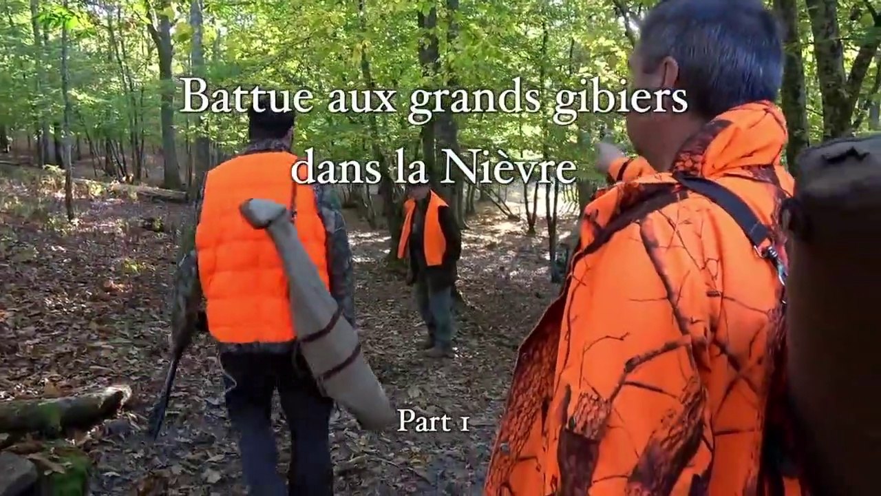 Chasse,Battues aux grands gibiers dans la Nièvre